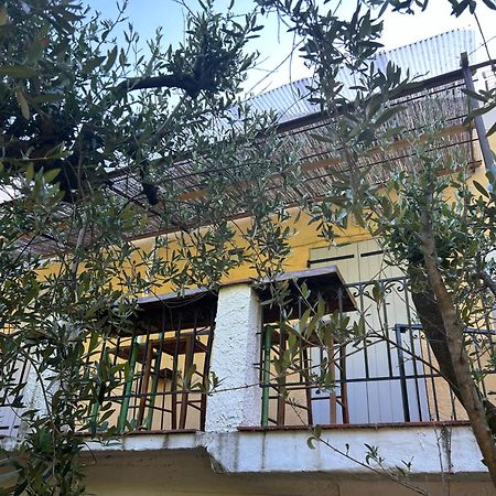 Апартаменты Bastide Des Hesperides Flayosc Экстерьер фото